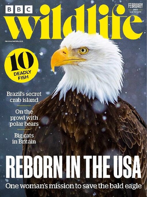 Title details for BBC Wildlife Magazine by Our Media Limited - Available